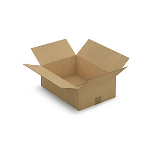 Caisse carton brune simple cannelure RAJA 43x30x15 cm
