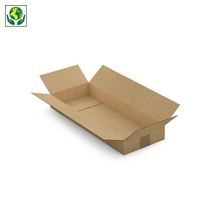 Caisse carton brune simple cannelure RAJA 50x20x6 cm - 1