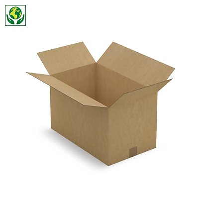 Caisse carton brune simple cannelure RAJA 50x30x30 cm - 1