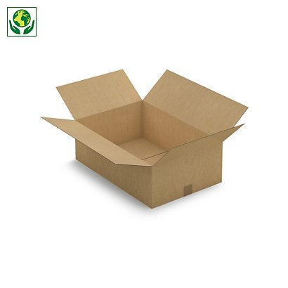 Caisse carton brune simple cannelure RAJA 60x40x20 cm - 1