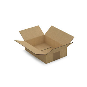 Caisse carton brune simple cannelure RAJA longueur 21 à 29,5 cm