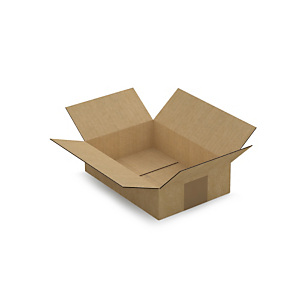 Caisse carton brune simple cannelure RAJA longueur 21 à 29,5 cm Caisse carton brune simple cannelure RAJA longueur 21 à 29,5 cm