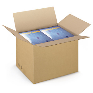 Caisse carton brune simple cannelure RAJA longueur 40 à 49 cm Caisse carton brune simple cannelure RAJA longueur 40 à 49 cm