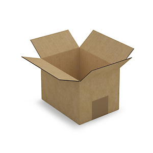 Caisse carton brune simple cannelure RAJABOX 16x12x11 cm Caisse carton brune simple cannelure RAJABOX 16x12x11 cm