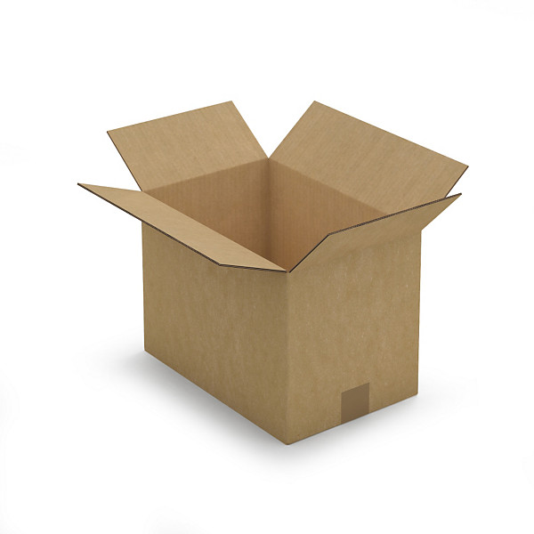 Caisse carton double cannelure de moins de 40 cm de long RAJA 35 x 23 x 25 cm - 1