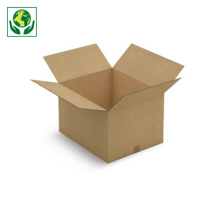 Caisse Carton Double Cannelure 55x45x35 Cm Raja