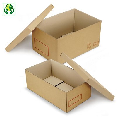 Caisse carton Galia C11 double cannelure avec couvercle renforcé 60x40x20 cm - 1