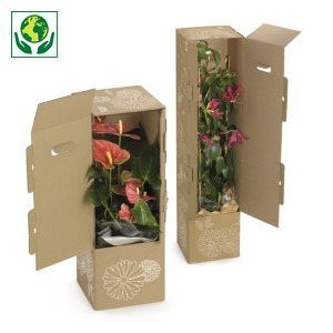 Caisse carton haute d'expédition
avec calage et poignées pour plantes Caisse carton haute d'expédition
avec calage et poignées pour plantes