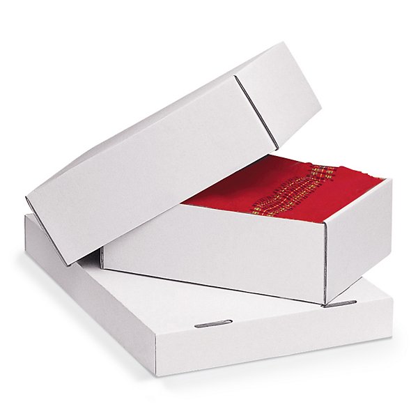 Caisse carton télescopique brune/blanche simple cannelure renforcée RAJA formats A3/A3+ - 2