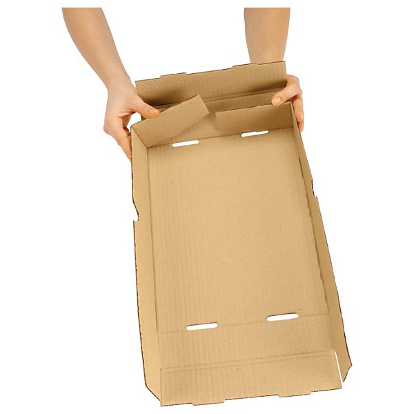 Caisse carton télescopique brune/blanche simple cannelure renforcée RAJA formats A3/A3+ - 3