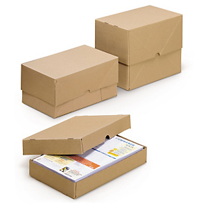 Caisse carton télescopique Easypack Caisse carton télescopique Easypack