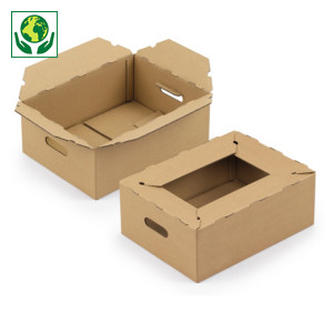 Caisse carton pour livraison des produits de consommation RAJA