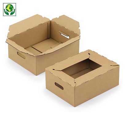 Caisse carton pour livraison des produits de consommation RAJA - 1