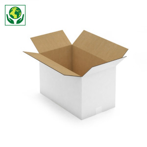 Caisse carton palettisable blanche simple/double cannelure RAJA