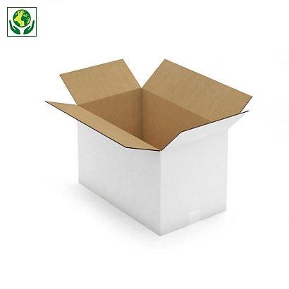 Caisse carton palettisable blanche simple/double cannelure RAJA