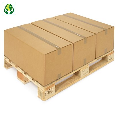 Caisse carton palettisable brune double cannelure RAJA - adaptée palette 80x120 cm - 1