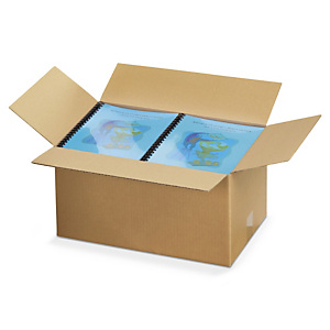 Caisse carton palettisable brune simple cannelure RAJA Caisse carton palettisable brune simple cannelure RAJA