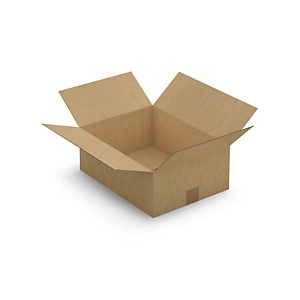 Caisse carton plate brune simple cannelure RAJA 40x30x15 cm