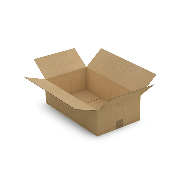 Caisse carton plate brune simple cannelure RAJA 50x30x15 cm - 1