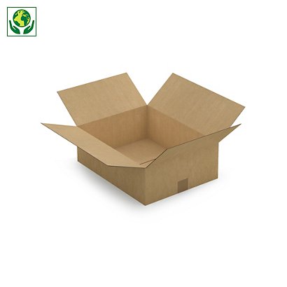 Caisse carton simple cannelure de 40 à 50 cm de long Raja 45 x 35 x 15 cm
