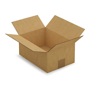 Caisse carton simple cannelure brune 27x19x12 cm