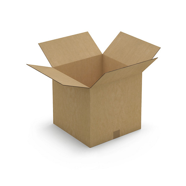 Caisse double cannelure renforcée RAJA 38,5 x 38,5 x 37 cm