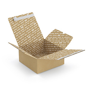 Caisse à montage instantané fermeture adhésive aller-retour et impression Merci 22x22x10 cm