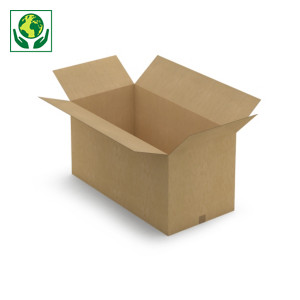 Caisses carton 100x50x50 cm Caisses carton 100x50x50 cm