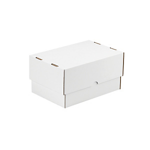 Caisses carton télescopique blanche simple cannelure 30,5 x 21,5 x 10,5/18 cm, lot de 25