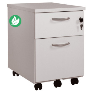 Caisson mobile 2 tiroirs L.42 x P.58 x H.60 cm - Gris Caisson mobile 2 tiroirs L.42 x P.58 x H.60 cm - Gris