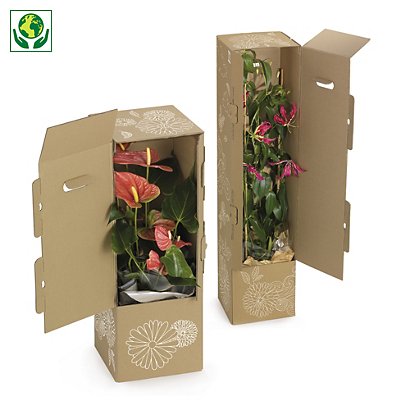 Caja de cartón alta con relleno y asas precortadas para el envío de plantas - 1