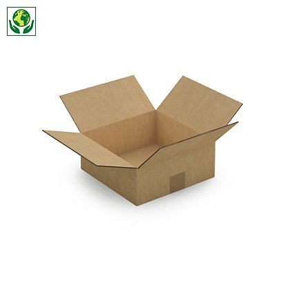 Caja de cartón canal doble 25x25x10cm RAJA® - 1