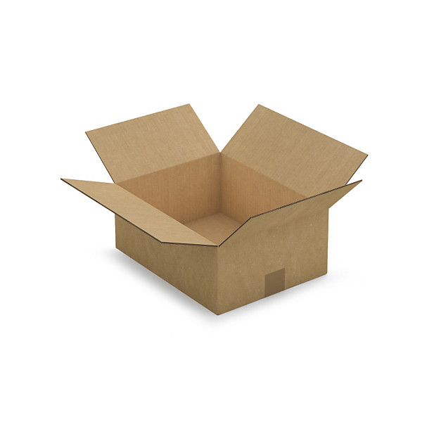 Caja de cartón canal doble 35x27x14cm RAJA® - 1