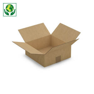 Caja de cartón canal simple 25x25x10cm RAJA®