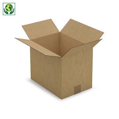 Caja de cartón canal simple 31x22x25cm RAJA® - 1