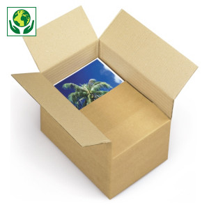 Caja de cartón canal simple adaptable en altura 30x25x16/23cm RAJA®