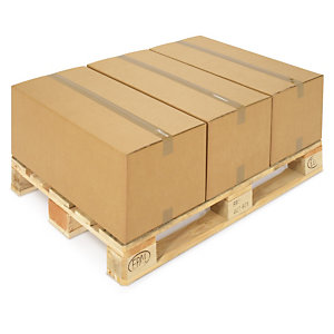 Caja de cartón paletizable canal doble RAJA®