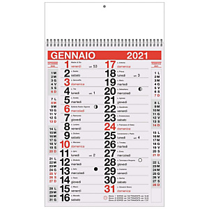 Calendario olandesino 2021, 29 x 47 cm Calendario olandesino 2021, 29 x 47 cm