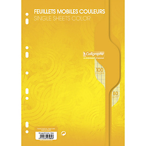 CALLIGRAPHE Copies simples Jaune perf 2 trous 80g 100pages grands carreaux Seyès format A4. Film-CAL 7000 CALLIGRAPHE Copies simples Jaune perf 2 trous 80g 100pages grands carreaux Seyès format A4. Film-CAL 7000