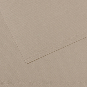 CANSON Feuille MI-TEINTES® 50X65 160g gris flanelle 122 CANSON Feuille MI-TEINTES® 50X65 160g gris flanelle 122