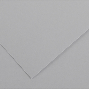 CANSON Foglio Colorline - 70x100 cm - 220 gr - grigio chiaro CANSON Foglio Colorline - 70x100 cm - 220 gr - grigio chiaro
