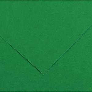 CANSON Foglio Colorline - 70x100 cm - 220 gr - verde vivo