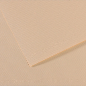 CANSON Foglio Mi-Teintes - A4 - 160 gr - conchiglia - Canson CANSON Foglio Mi-Teintes - A4 - 160 gr - conchiglia - Canson