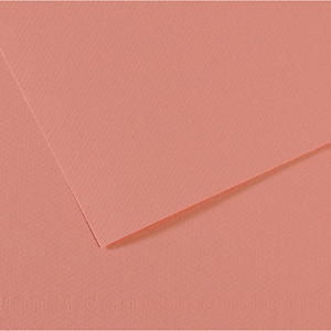 CANSON Foglio Mi-Teintes - A4 - 160 gr - rosa scuro CANSON Foglio Mi-Teintes - A4 - 160 gr - rosa scuro