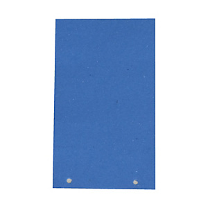 CART. GARDA Separatori - cartoncino Manilla 200 gr - 12,5 x 23 cm - azzurro - Cartotecnica del Garda - conf. 200 pezzi CART. GARDA Separatori - cartoncino Manilla 200 gr - 12,5 x 23 cm - azzurro - Cartotecnica del Garda - conf. 200 pezzi