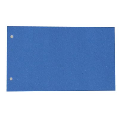 CART. GARDA Separatori - cartoncino Manilla 200 gr - 12,5 x 23 cm - azzurro - Cartotecnica del Garda - conf. 200 pezzi - 1