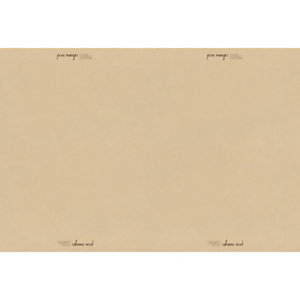 Carta per fritti monouso, Fogli pretagliati, 34 X 60 cm (confezione 500 pezzi)
