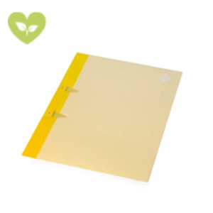 Cartelline a 3 lembi con fori, 24,5 x 33 cm, Cartoncino plastificato 300 g/m², Giallo (confezione 10 pezzi) Cartelline a 3 lembi con fori, 24,5 x 33 cm, Cartoncino plastificato 300 g/m², Giallo (confezione 10 pezzi)