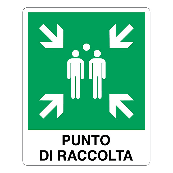 Cartello punto di raccolta in alluminio 250x310 mm - 1