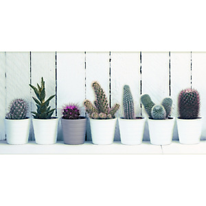 CEANOTHE Pannello termoradiale Decowatt, Cactus, 120 x 60 cm CEANOTHE Pannello termoradiale Decowatt, Cactus, 120 x 60 cm